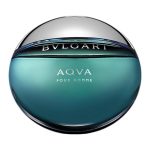 Bvlgari Aqva Pour Homme Eau de Toilette 100 ML Erkek Parfümü