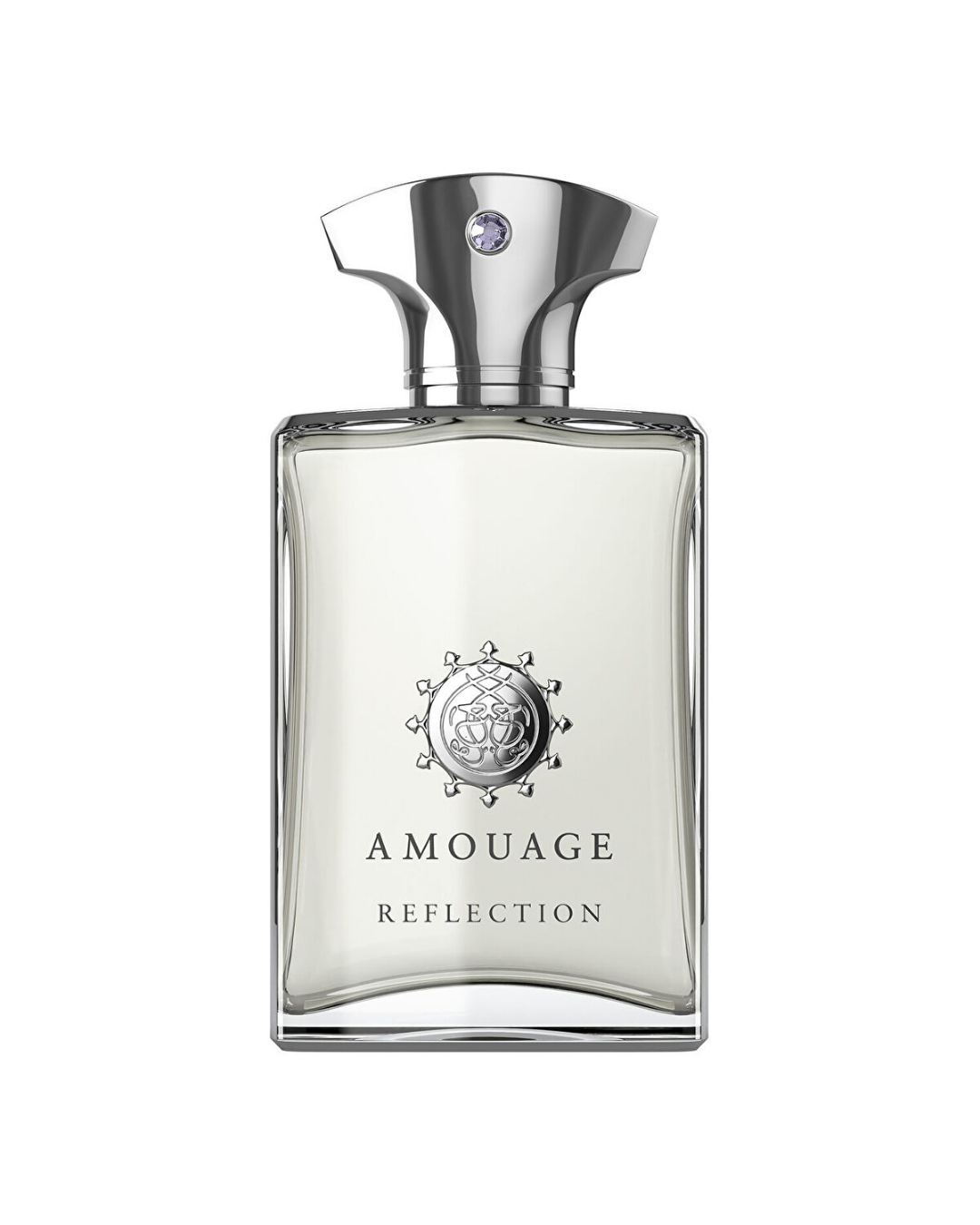 (45) (13) Amouage Reflection Men Eau de Parfum (EDP) 100 ML Erkek Parfüm - Görsel 1