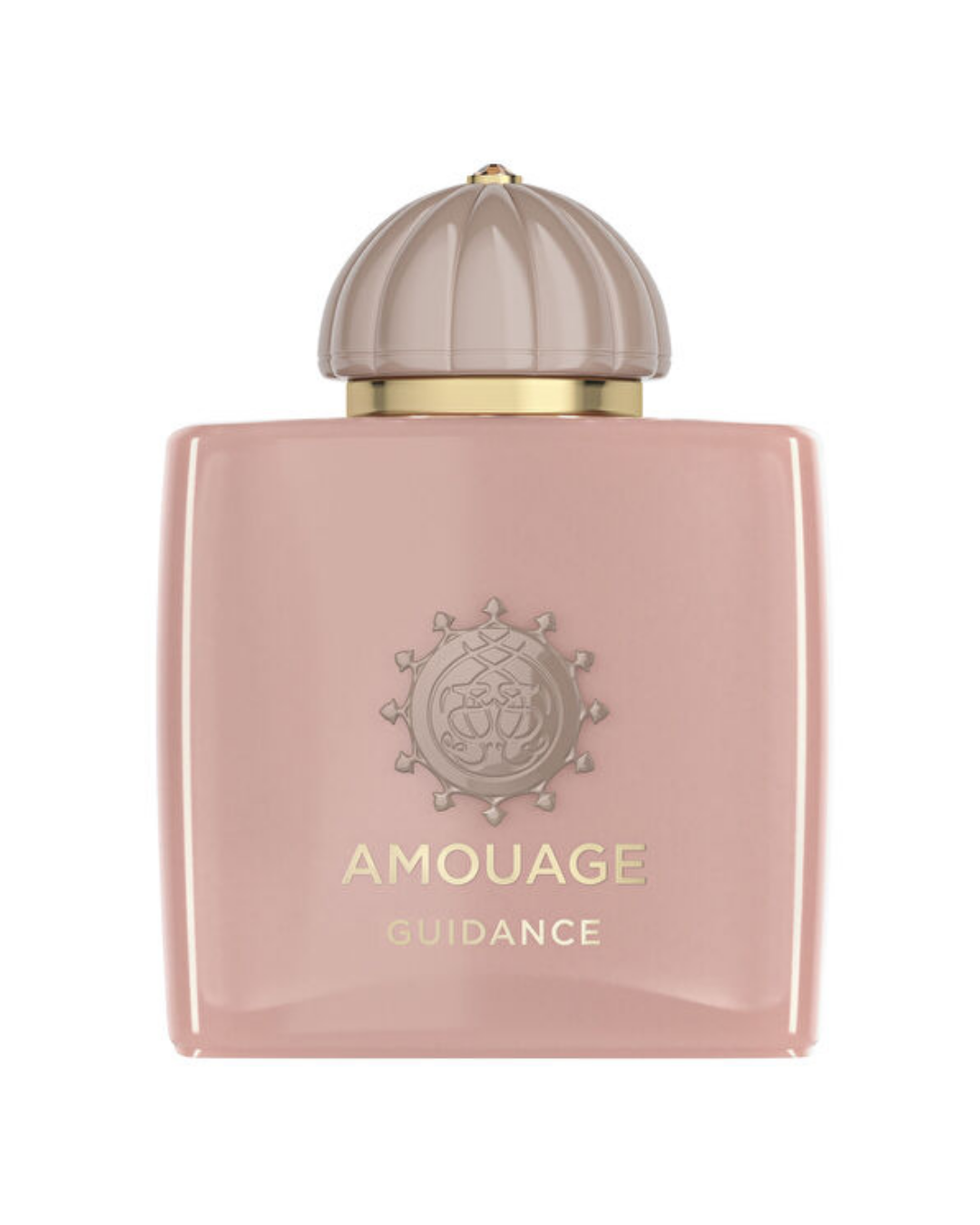 (45) (14) Amouage Guidance Eau de Parfum (EDP) 100 ML Unisex Parfüm - Görsel 1