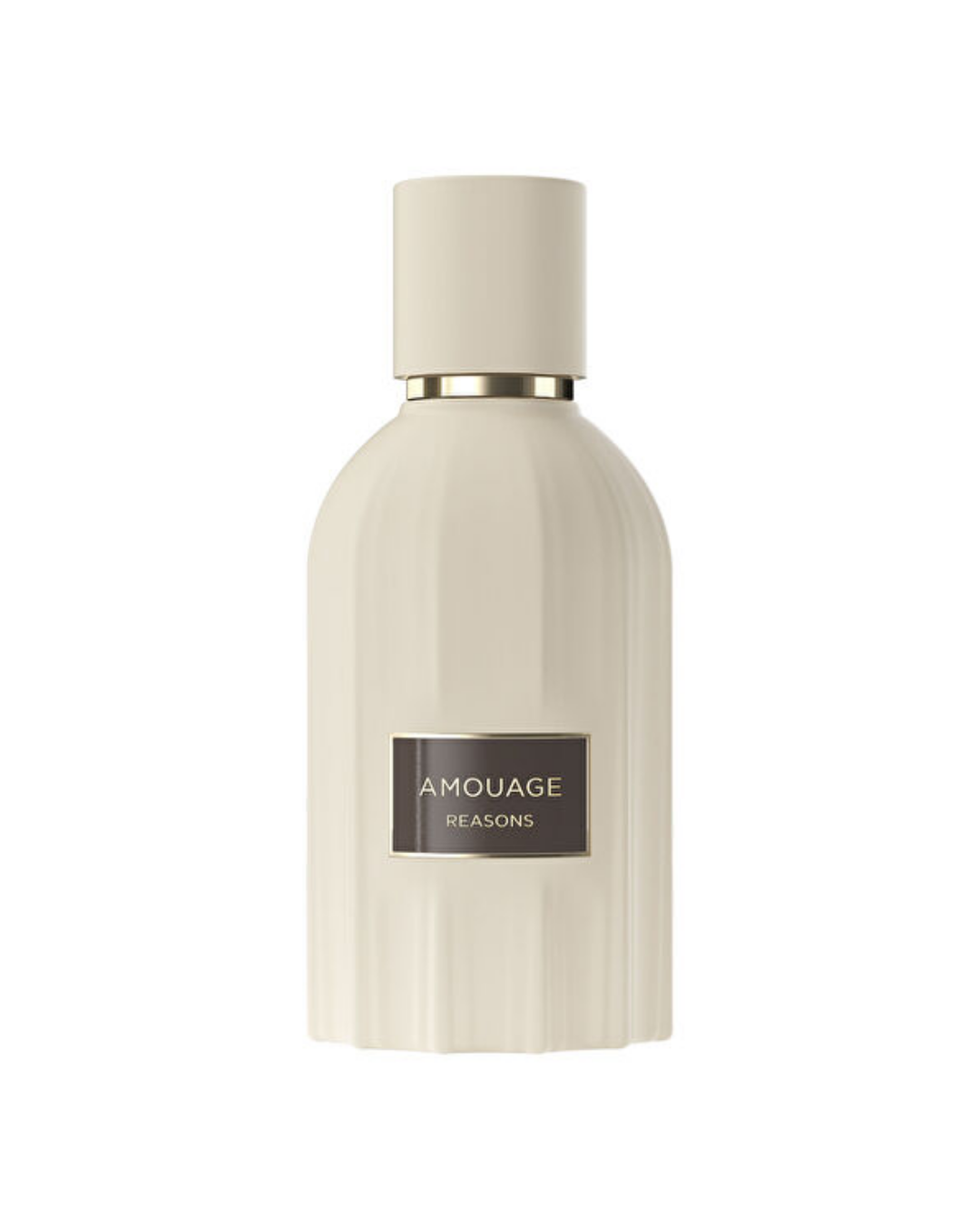 (45) (20) Amouage Reasons Eau de Parfum (EDP) 100 ML Lux Unisex Parfüm - Görsel 1