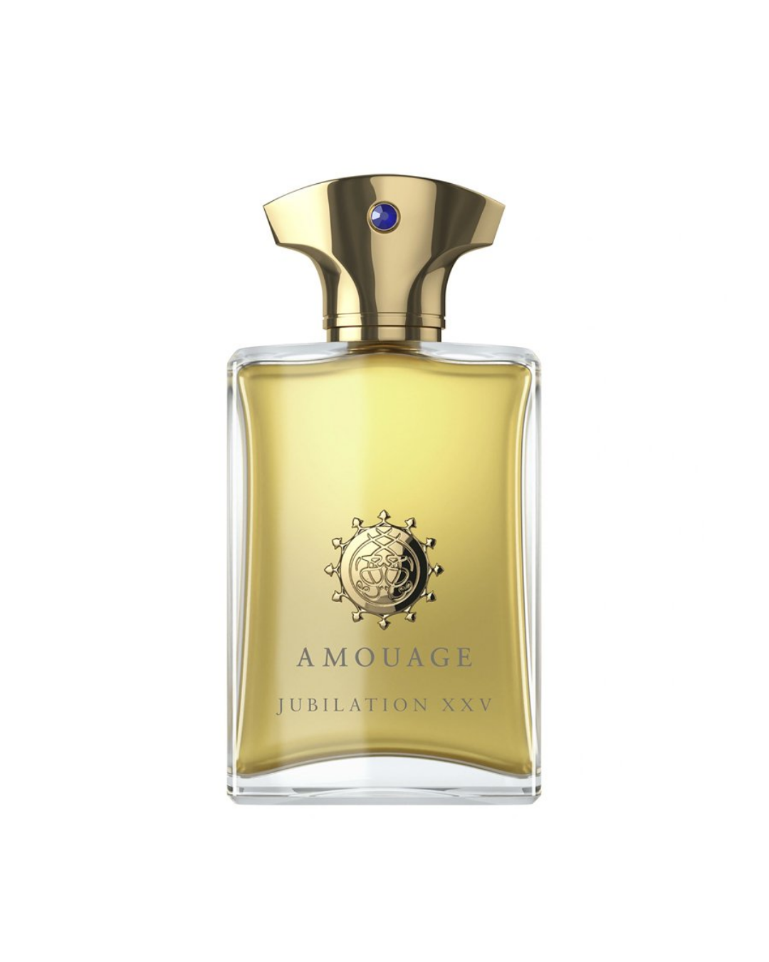 (45) (6) Amouage Jubilation XXV Men Eau de Parfum (EDP) 100 ML Erkek Parfüm - Görsel 1